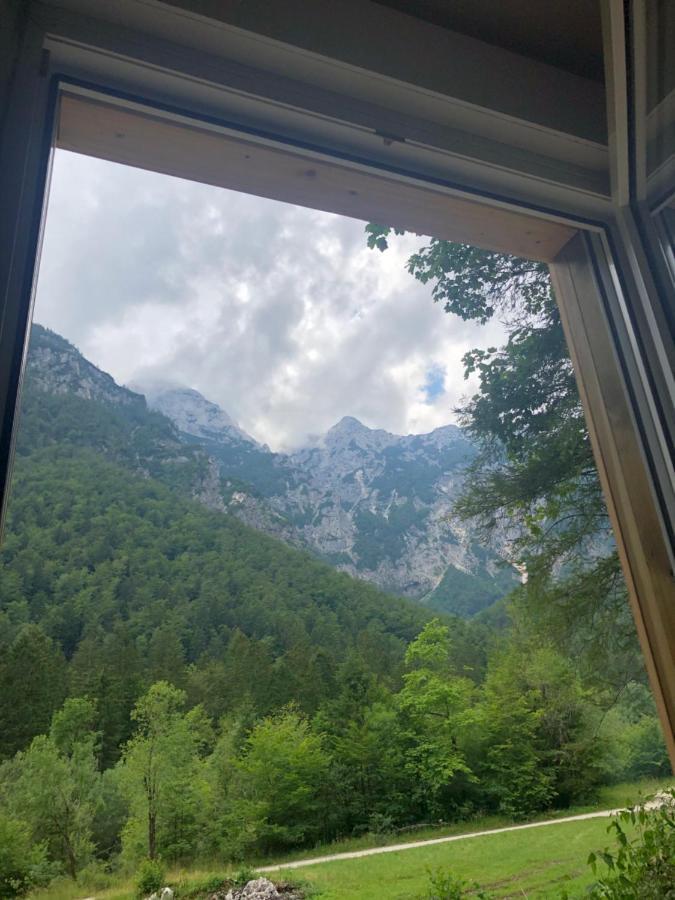 Skalca Villa Kamniska Bistrica Eksteriør bilde