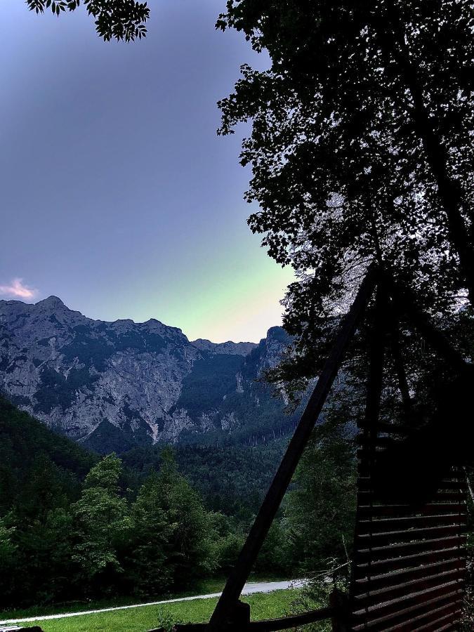 Skalca Villa Kamniska Bistrica Eksteriør bilde
